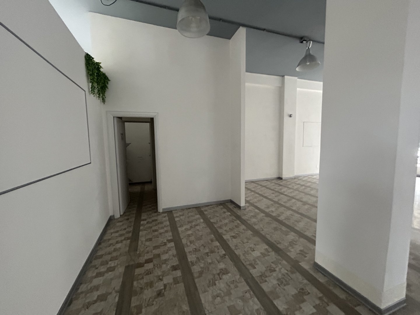 Anteprima immagine 12