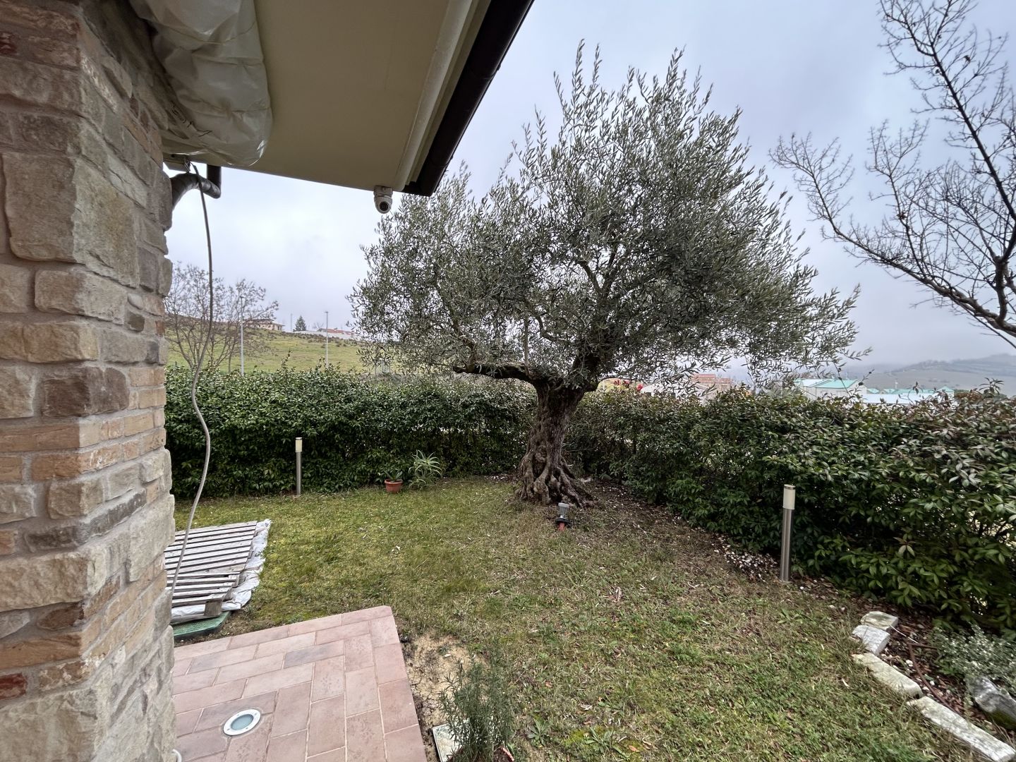 Anteprima immagine 12