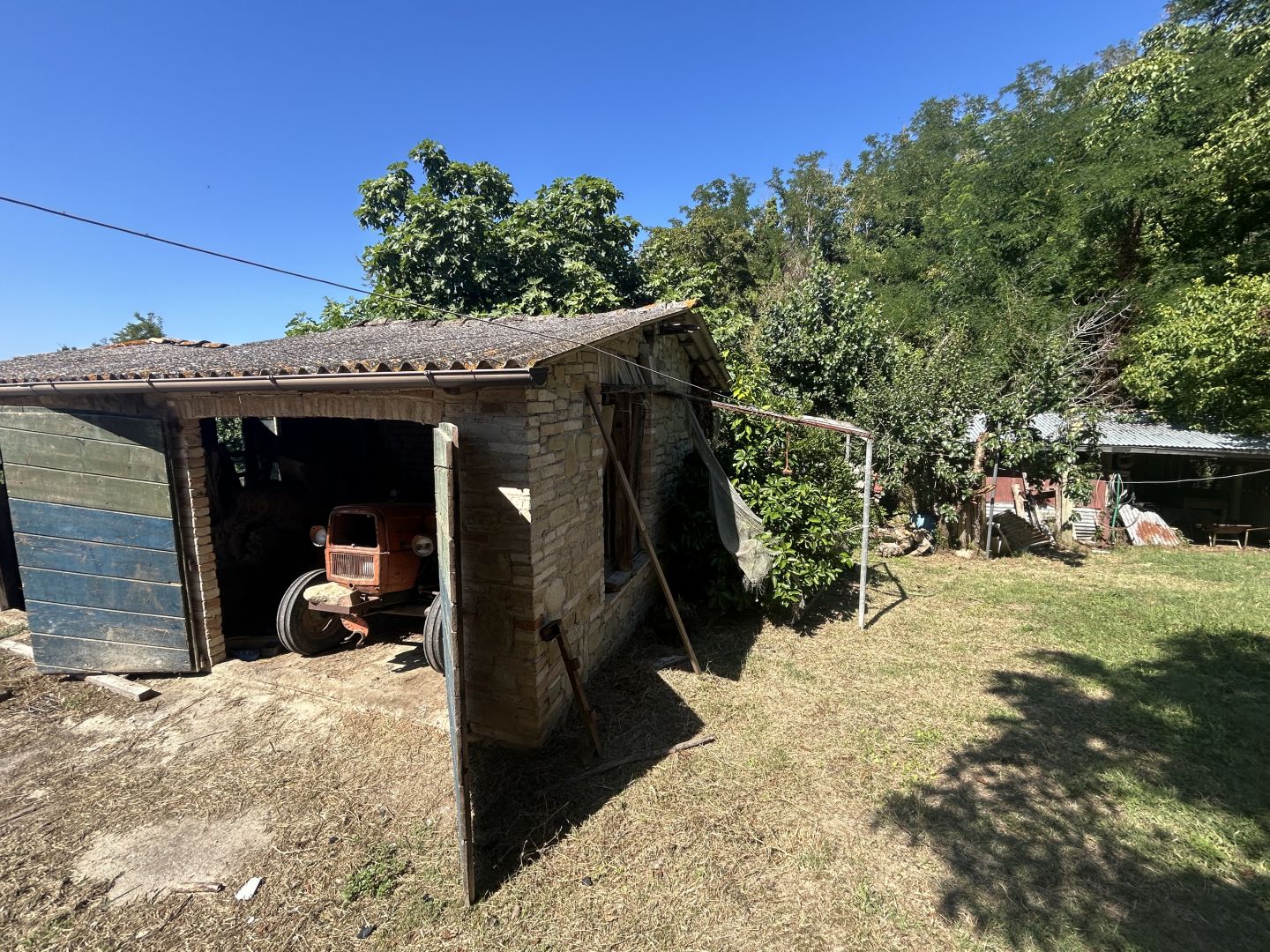 Anteprima immagine 11