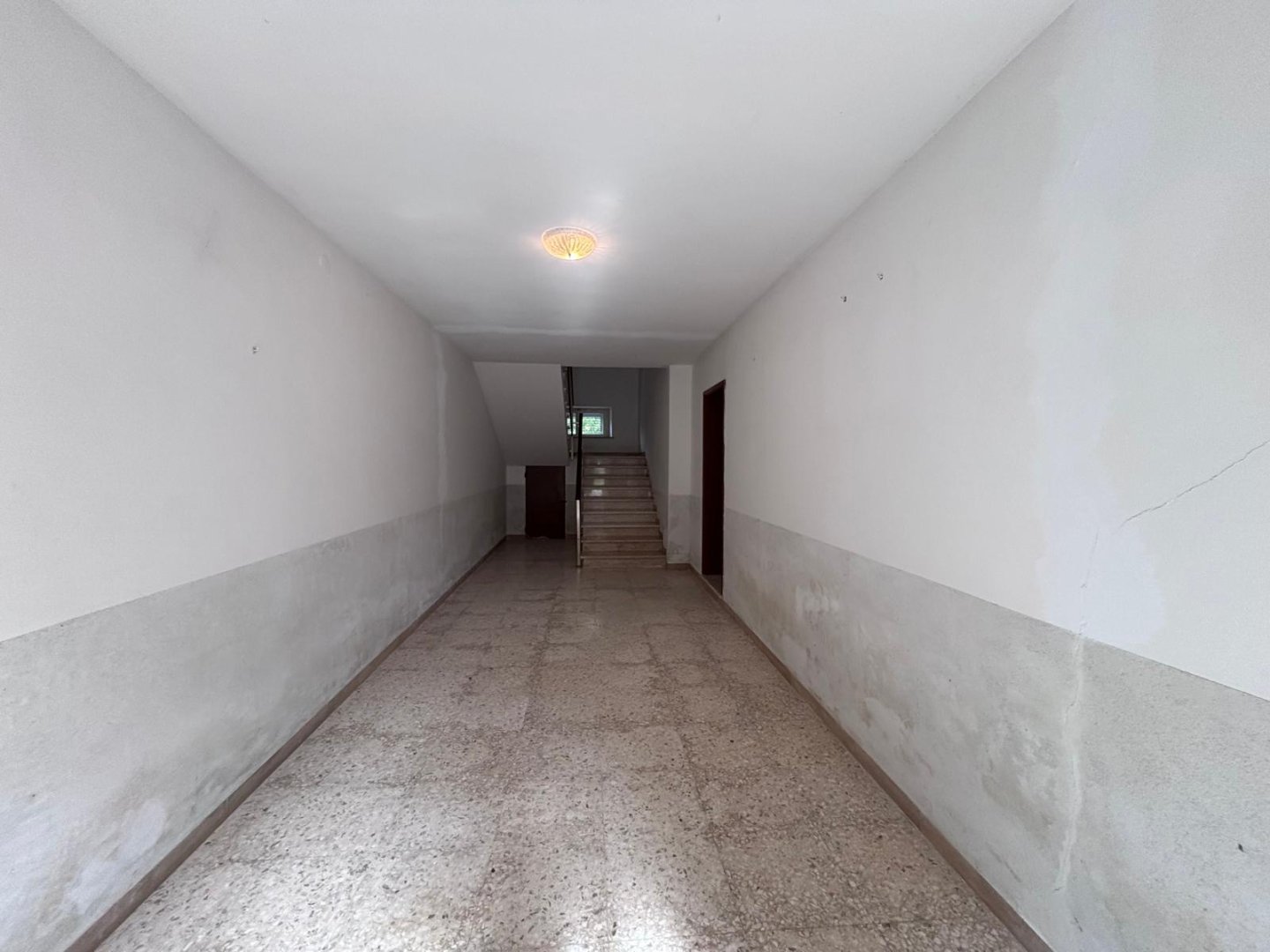 Anteprima