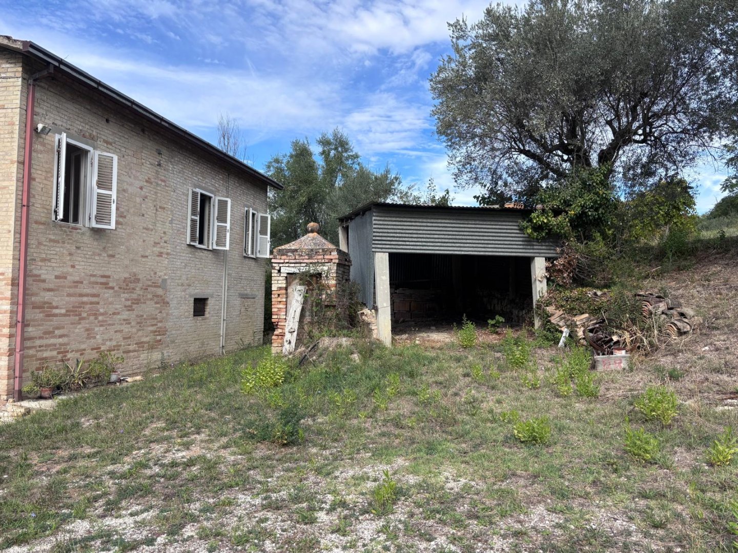 Anteprima
